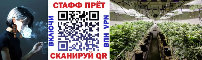 Наркошоп Щёкино Alpha-PVP  Галлюциногенные грибы  КОКАИН  Гашиш 