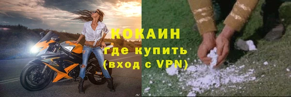 дживик Абинск
