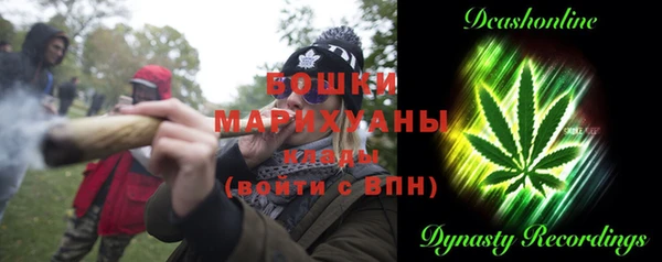 дживик Абинск
