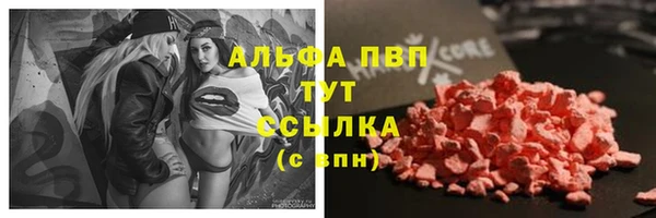 дживик Абинск
