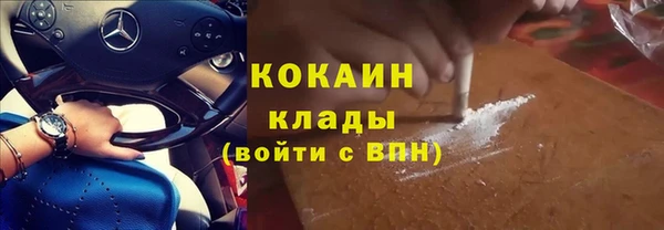 дживик Абинск