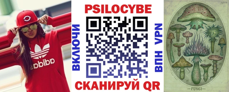 купить наркотик  Щёкино  Псилоцибиновые грибы мухоморы 